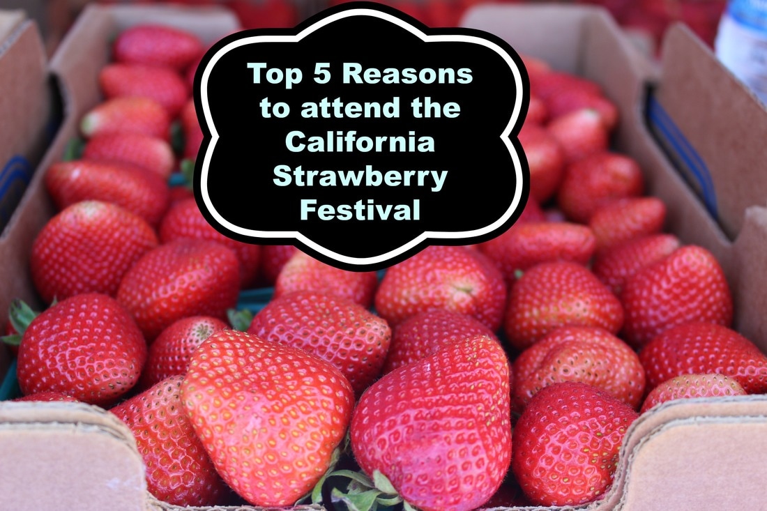 Top 5 Reasons to attend the California Strawberry Festival My Life is